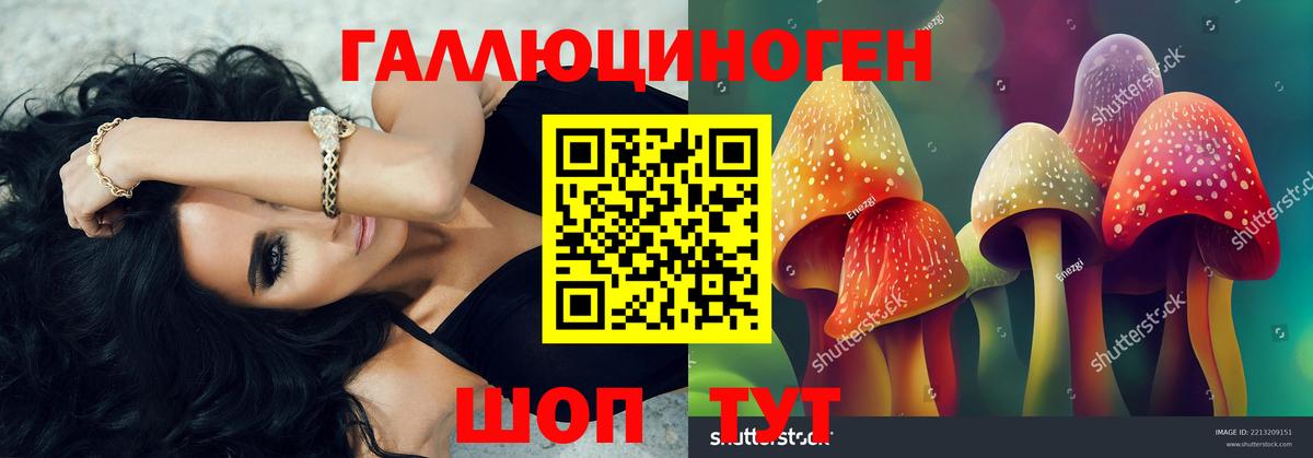Псилоцибиновые грибы Psilocybine cubensis  Вход с VPN  Волгоград 